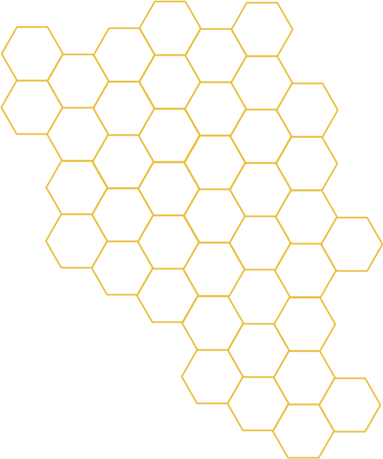 Bee Honeycomb